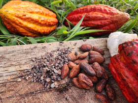 Colombian Cacao Raw Beans smoothie-ready prep supports versatile healthy drinks.