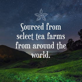 Constellation Tea packaging display image illustrating a neatly packaged sampler for gifting or tasting