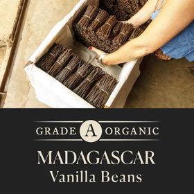 COOK'S vanilla beans – seeds closeup, revealing aromatic richness for custards.