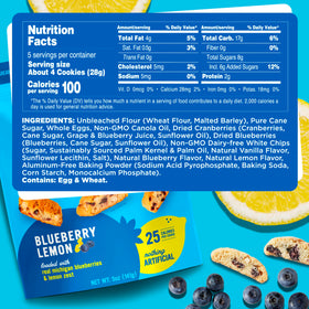 Cooper Street blueberry lemon biscotti with real fruit bits