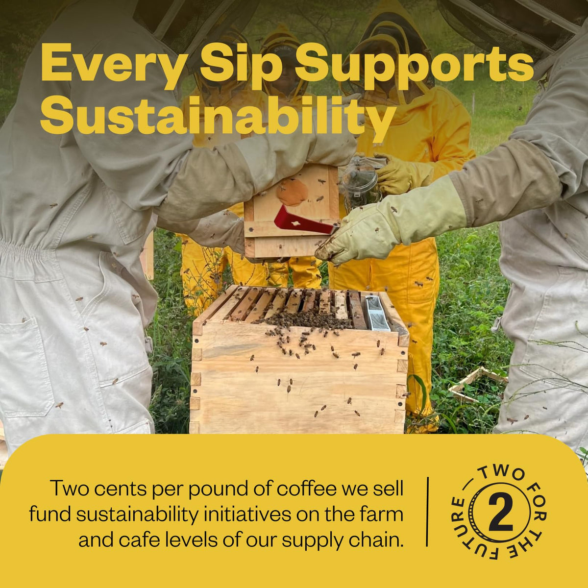 Counter Culture roast packs brew-ready setup for quick morning rituals.