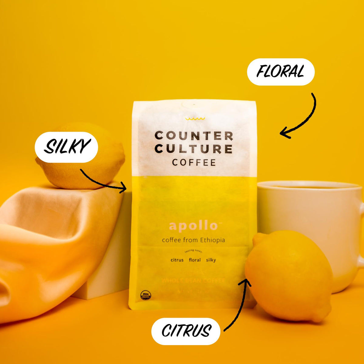 Counter Culture roast packs front view shows ready-to-brew versatility.