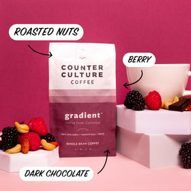 Counter Culture dark roast beans close-up hints bold espresso potential.
