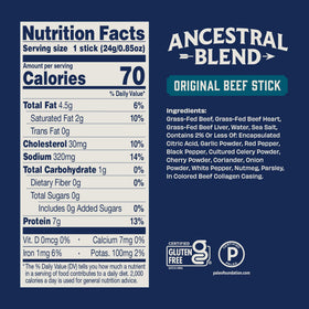 Country Archer Ancestral Beef Jerky Stick ideal for busy on-the-go snacking.