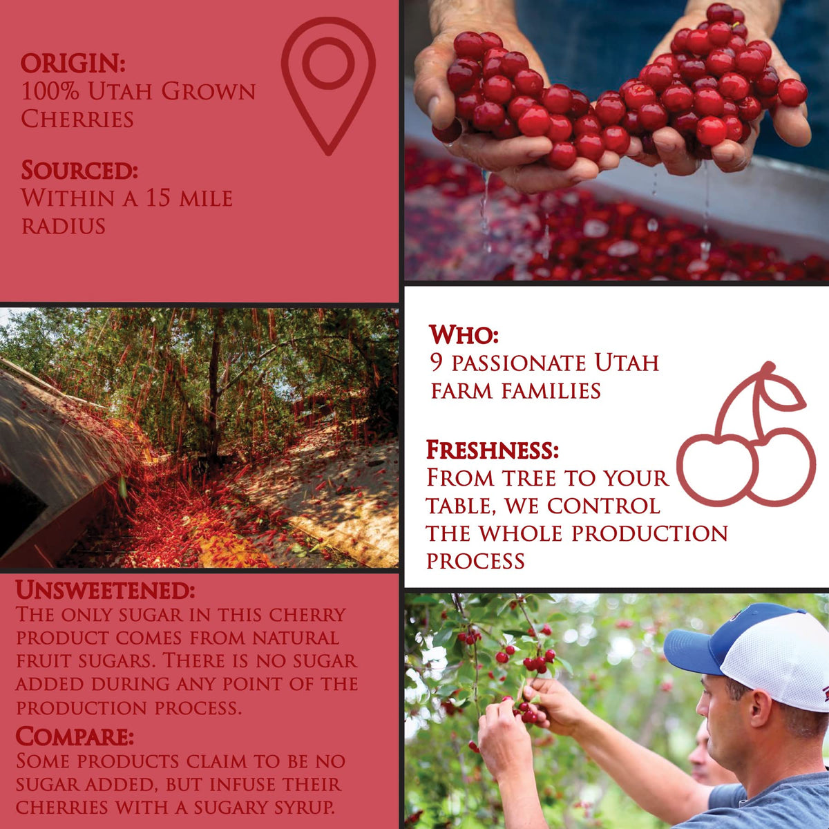Country Spoon bottle highlights 70+ cherries per 8 oz for rich antioxidants.
