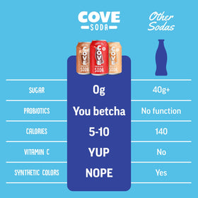 Cove 12-pack box highlighting nostalgia and zero-sugar refreshment.