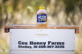 Cox's Honey pollen-enriched texture close-up suggests natural goodness.