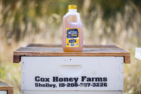 Cox's Honey Clover jar closeup emphasizes purity and nutrient-rich flavor