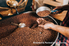 Cozy Up aroma steam shows rich fragrance and quick cup.