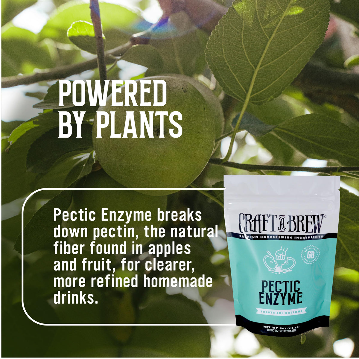 Craft A Brew pectic enzyme powder scene ready for measured addition.