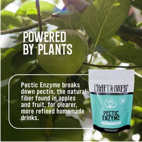 Craft A Brew pectic enzyme powder scene ready for measured addition.