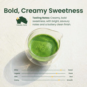 Crafti matcha from Yame, Fukuoka origin, offering origin-rich flavor for routines.