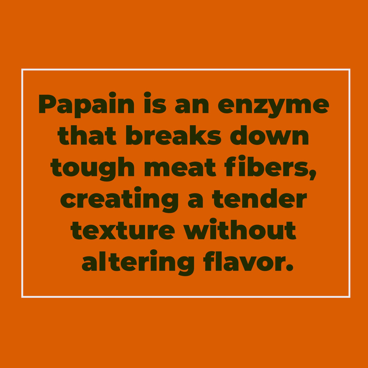 Crait Papain Powder salt-free formula for flexible seasoning.