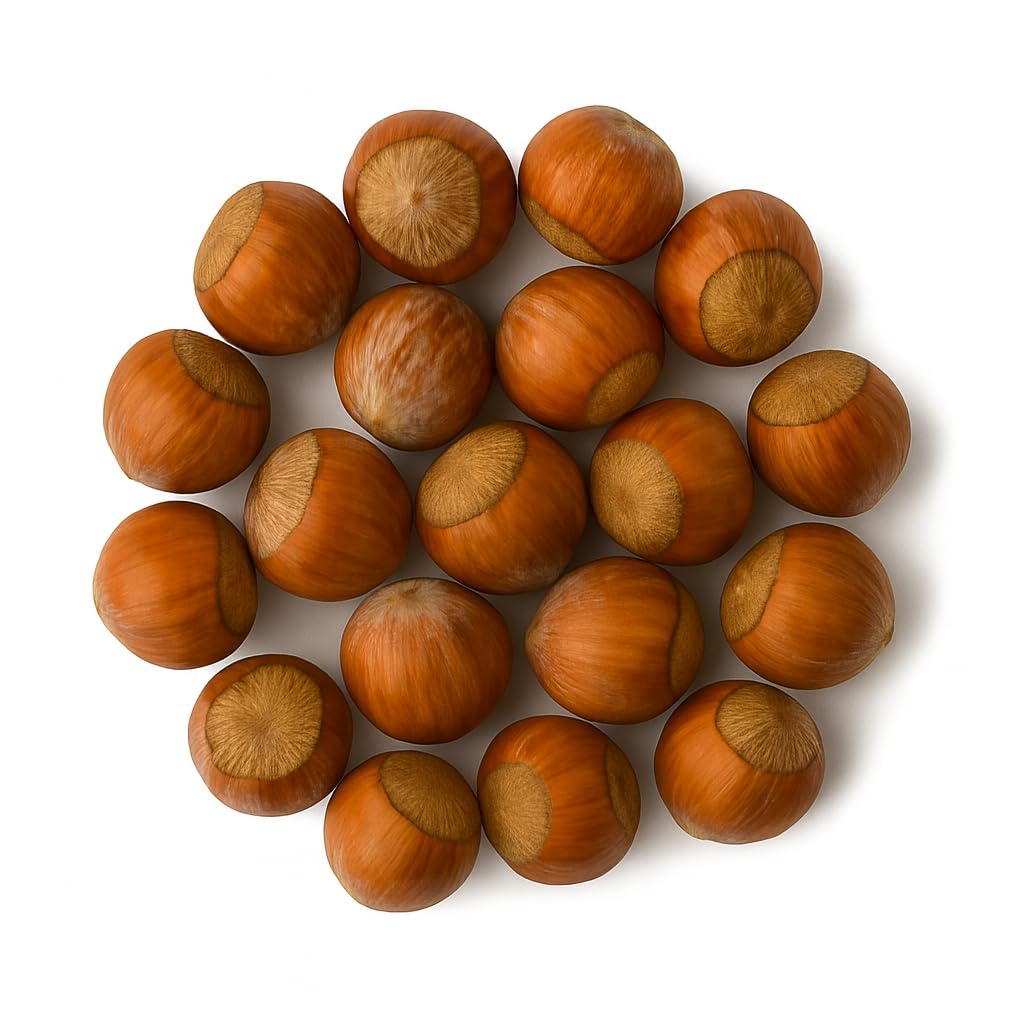 Crazy Nuts large hazelnuts in-shell closeup for snacking.