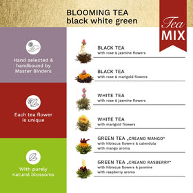Creano Blooming Tea magnetic box highlights silver embossing, premium gift presentation.