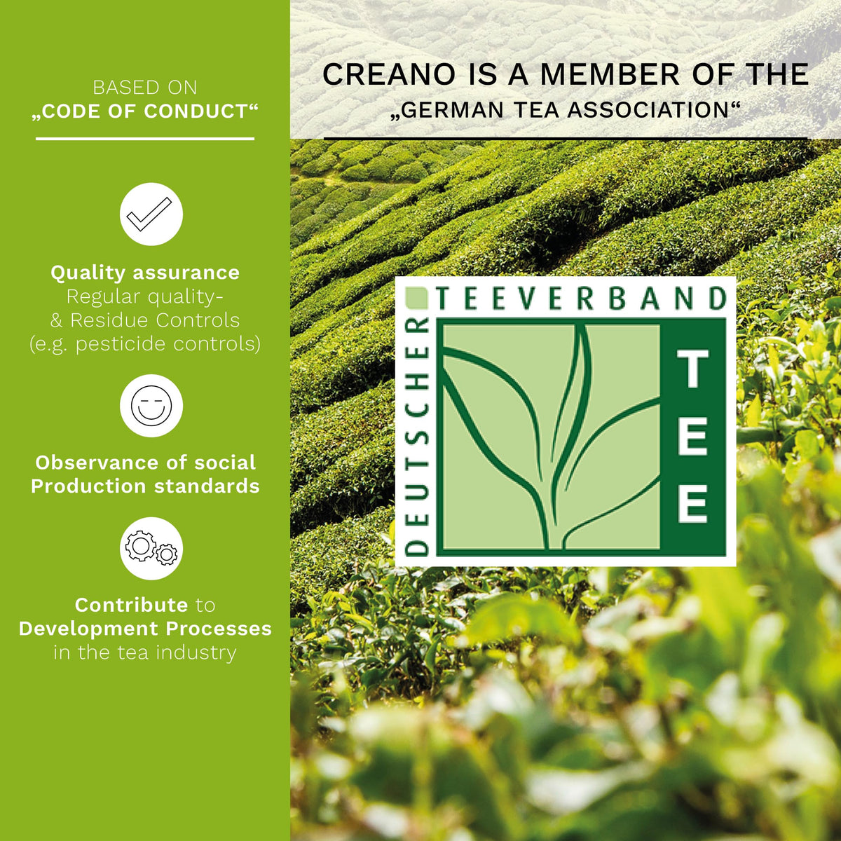Creano Blooming Tea marigold elderflower blossoms unfurling, adding color to infusions.