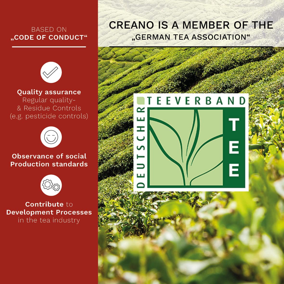 Gift packaging for Creano Flowering Tea Gift Set, ready for gifting.