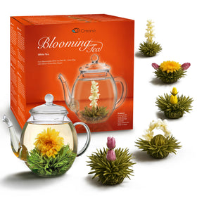 Creano Flowering Tea Gift Set showcasing white tea and 6 blooms for a vibrant tasting session.