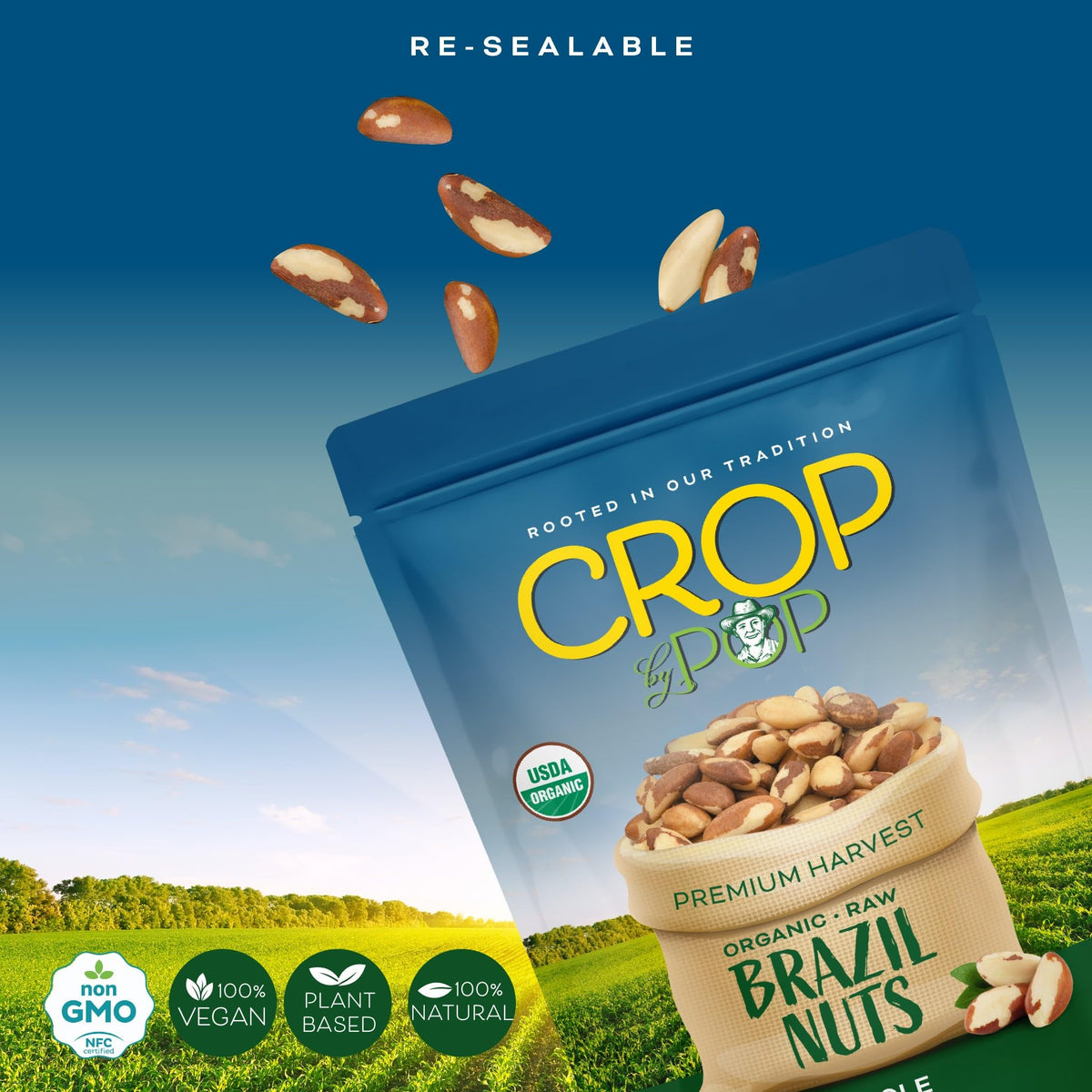 Crop by Pop Brazil nuts in a bowl – ideal for snacking or toppings.