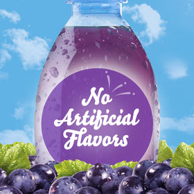 Crystal Light Grape packets tucked into a bag for travel.