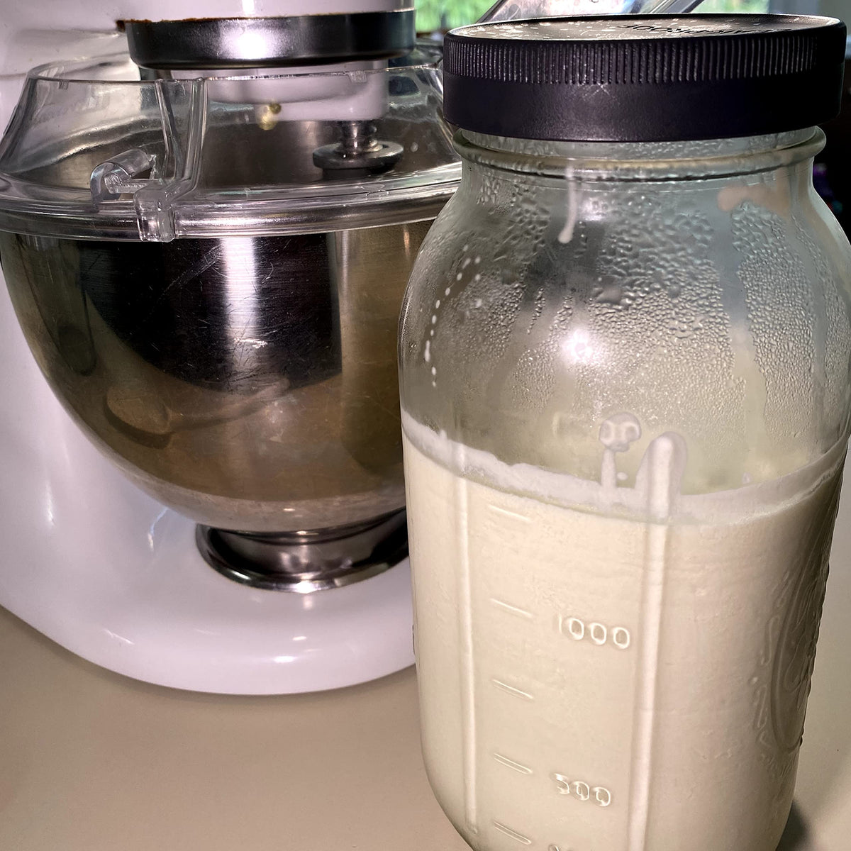 Buttermilk pours from Cultures For Health starter into a bowl for recipes.