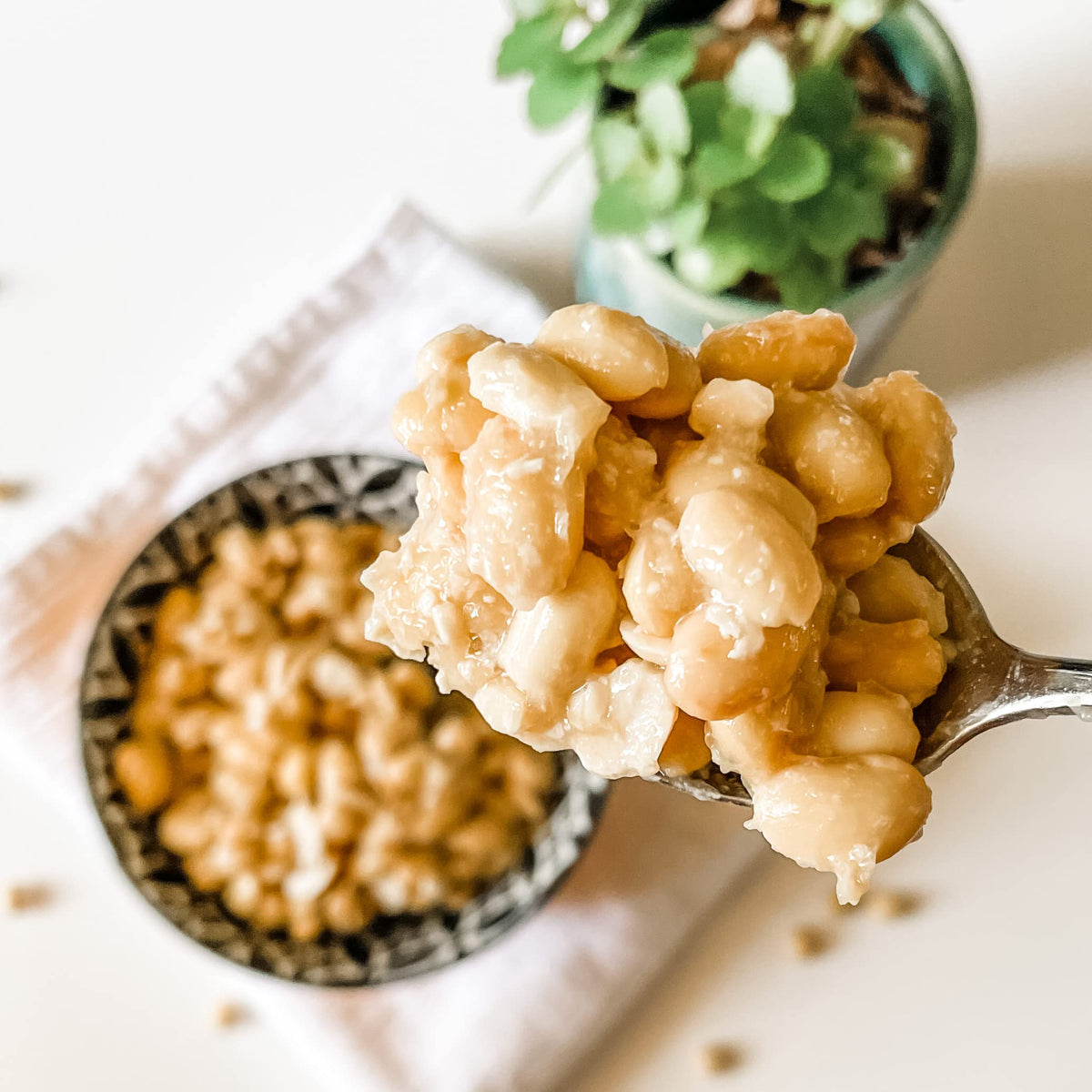 Natto served with rice and toppings using Cultures For Health kit.