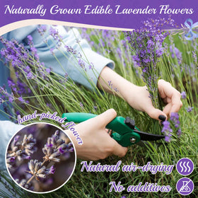 Curnue DIY crafts lavender for candles and sachets