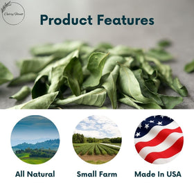CurryForest Arizona-farmed leaves, pesticide-free, for pure flavor