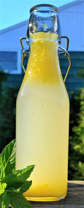 Mocktail base using Cutting Edge Cultures kefir soda starter.