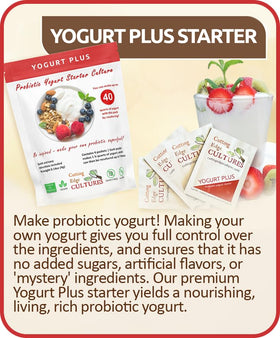Ready yogurt jar using Cutting Edge Cultures Yogurt Plus portions