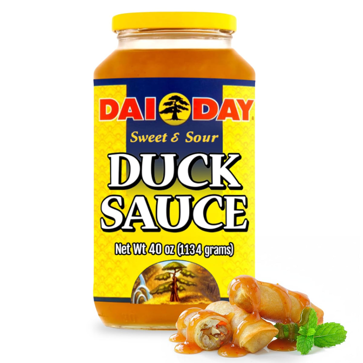 Dai Day Duck Sauce 40oz bottle front for dipping and tasting.