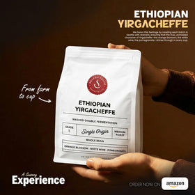 Daily Sips Rare Treasury Yirgacheffe ideal for espresso or pour-over brews.