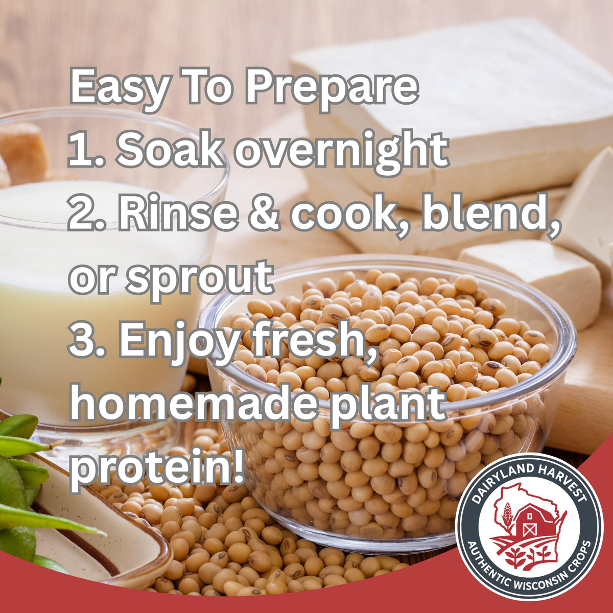 Dairyland Harvest soybeans for sprouting, boosting plant protein in meals.