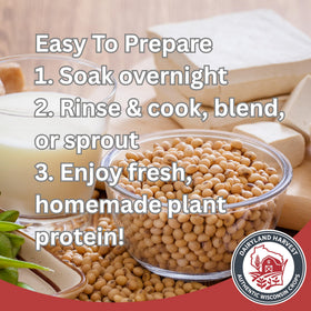 Dairyland Harvest soybeans for sprouting, boosting plant protein in meals.