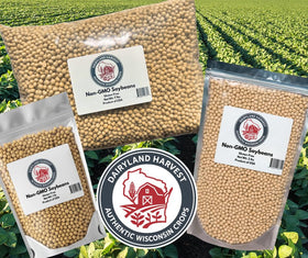 Dairyland Harvest soybeans stored properly stay fresh for future cooking.