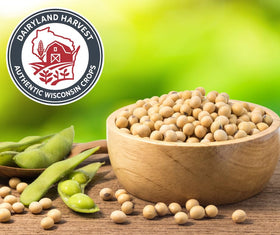 Dairyland Harvest soybeans grown in USA fields supporting local sourcing.