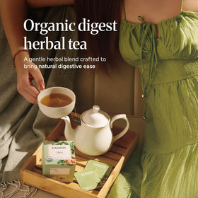 DAKSHIN Organic Digestive Tea Bags with ayurvedic-ginger for warm daily ritual