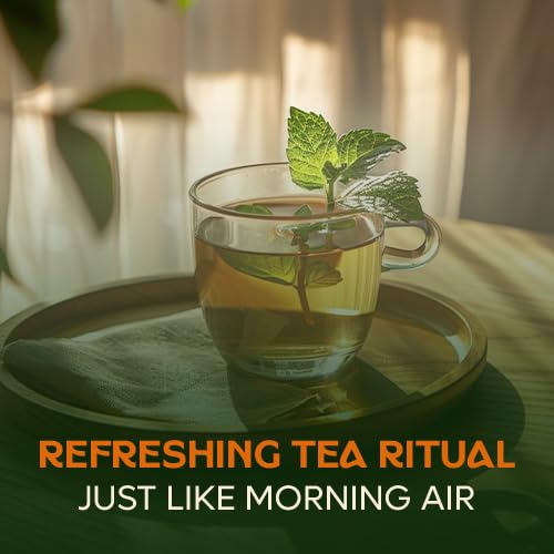 DALAMHARI hot brew in a tall cup shows versatile serving.