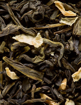 Dammann Freres Vert au Jasmin cup with steaming jasmine green tea