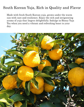 Damtuh Honey Citron Tea spoon shows easy measure for hot or cold servings.