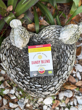 Dandy Blend ready for recipes, smoothies, or baking adventures in the kitchen.