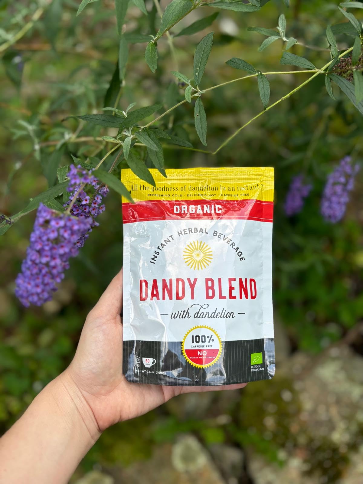 Steaming cup of Dandy Blend with dandelion, a comforting caffeine-free ritual.