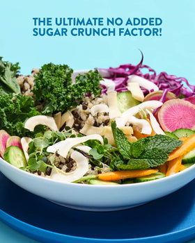 Dang Coconut Chips topping on yogurt bowl for added crunch