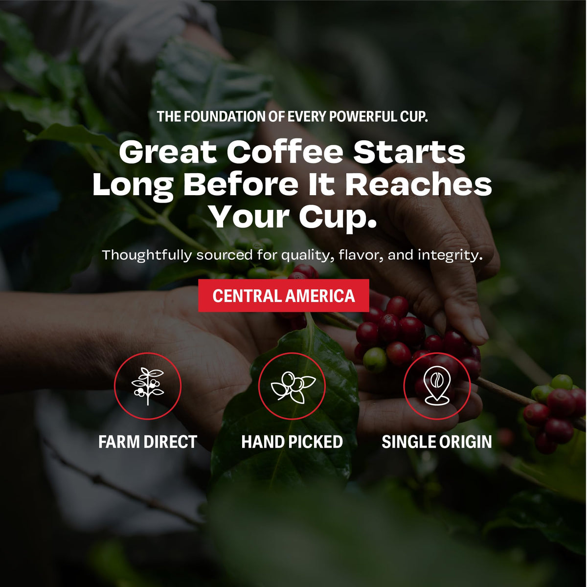 Danger Coffee brewed from real Arabica beans with consistent quality