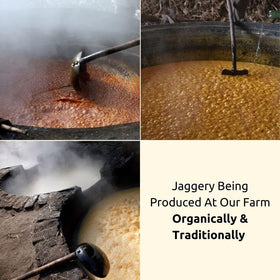 Danodia Foods jaggery cubes used in tea and coffee for warm, subtle sweetness.