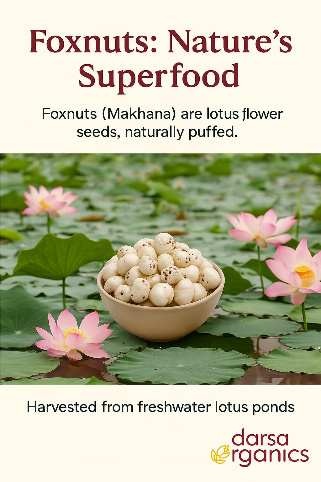 Foxnuts sizzling in a dry pan become light, crunchy snacks