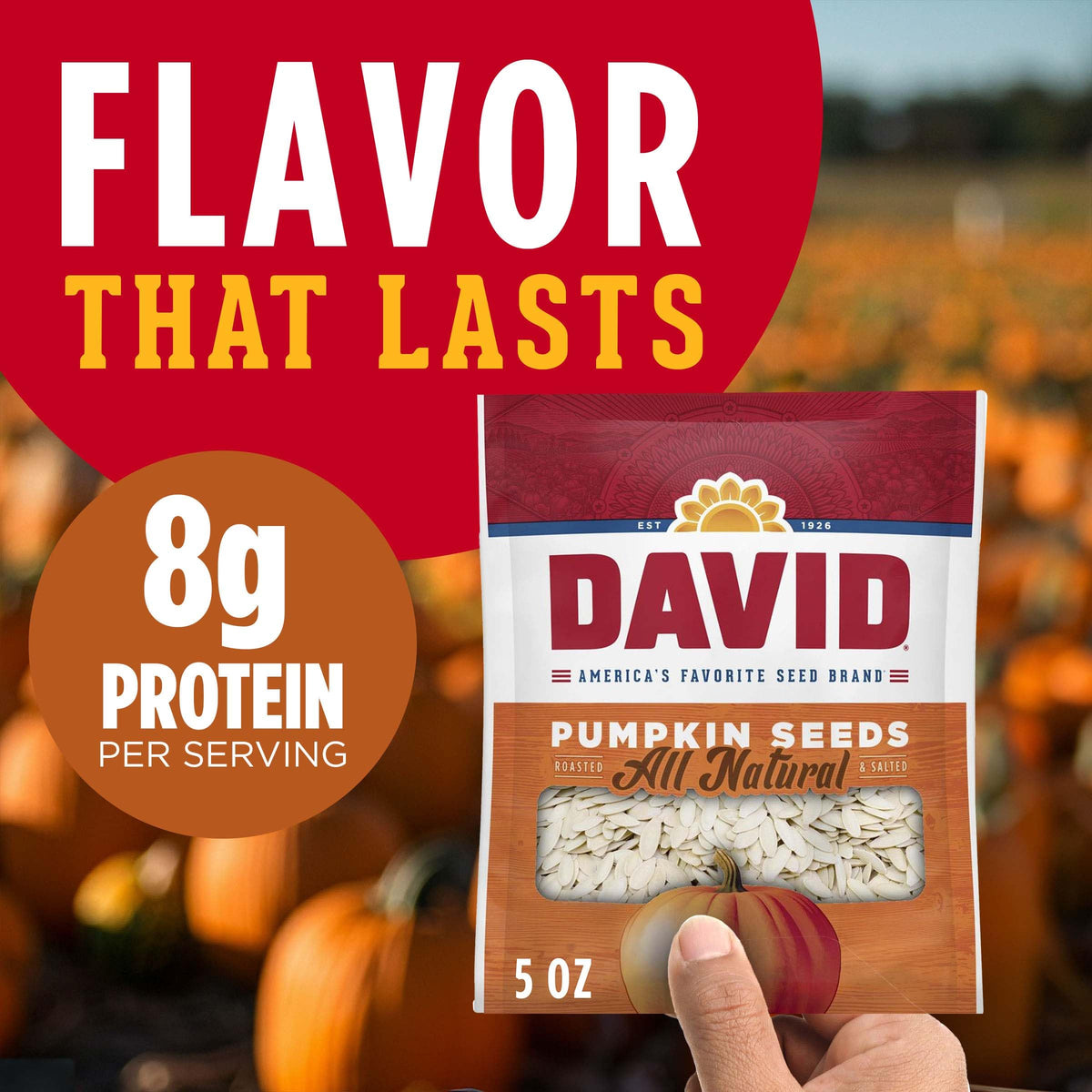 Close-up of DAVID All Natural Pumpkin Seeds in a bag, salted and roasted gluten-free snack