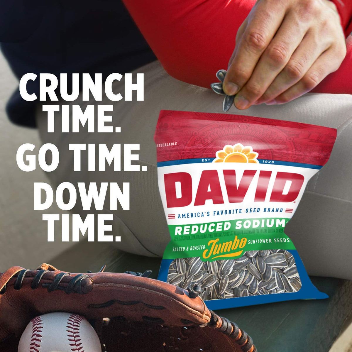 David Jumbo Reduced Sodium Sunflower Seeds crisp kernels close-up detail and texture.