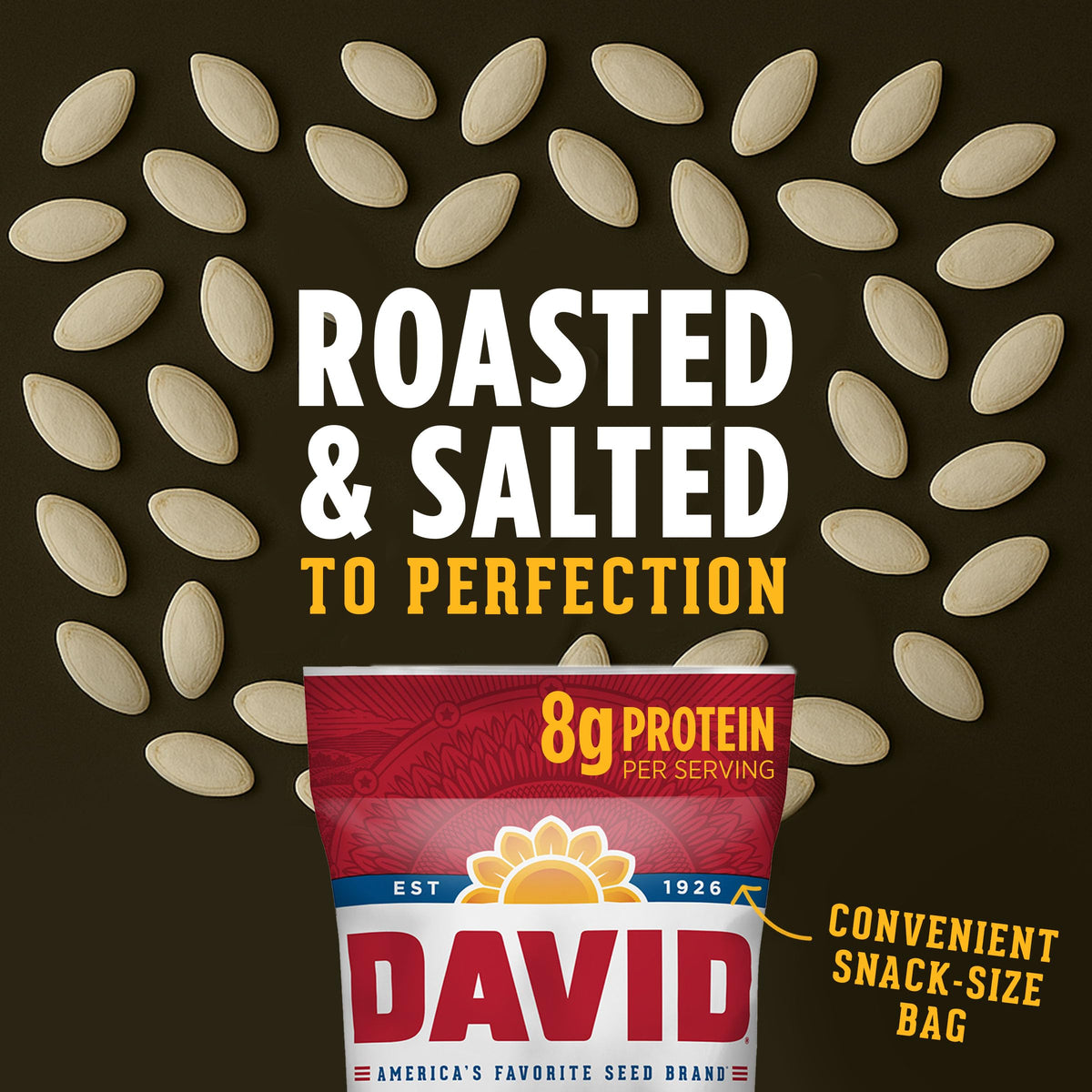 Close-up of roasted pumpkin seeds from DAVID, crisp texture and savory flavor