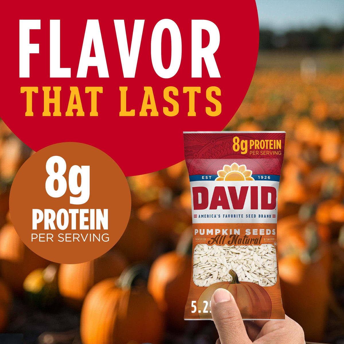 DAVID All Natural Pumpkin Seeds single 2.25 oz bag, perfect individual portion